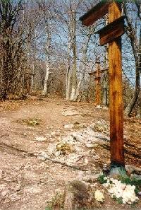 V&Iacute;A CRUCIS