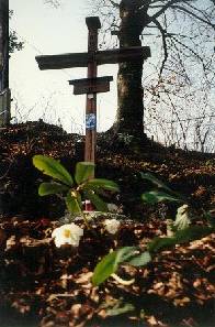 V&Iacute;A CRUCIS